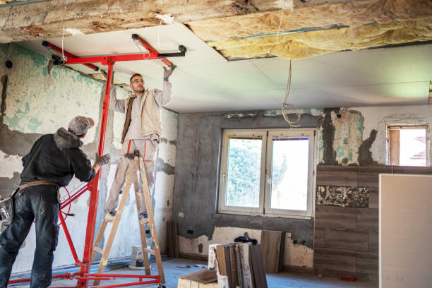 Best Eco-Friendly Insulation in Chelsea, MA